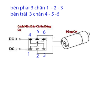 motor-24v-cong-tac-dao-chieu-1m4G3-RD1VBZ_simg_d0daf0_800x1200_max.png