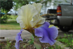 063.JPG resize.jpg