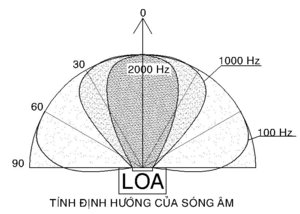 tinh dinh huong am.jpg