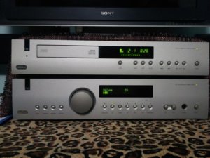 DSC_0153 (Small).JPG