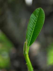 P4271925_rsz_web.jpg