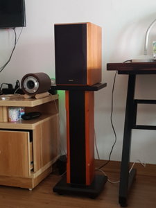 20190319_100048.jpg