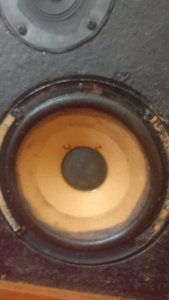 20190320_175951.jpg