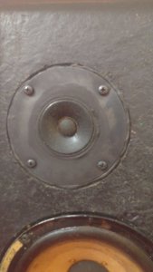 20190320_175958.jpg