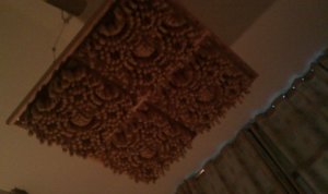 IMAG0317.jpg