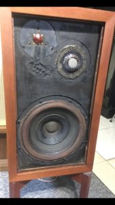 330d8f885d66bf38e677.jpg