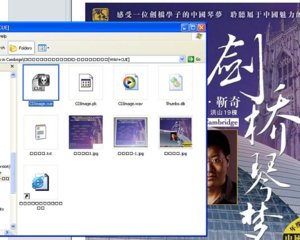 Title of Chinese Album.JPG