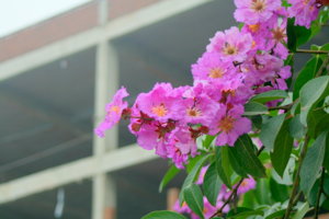 IMG_0689.JPG
