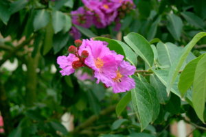 IMG_0676.JPG