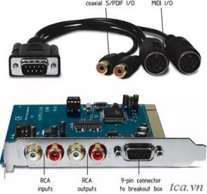 Card Audiophile.JPG
