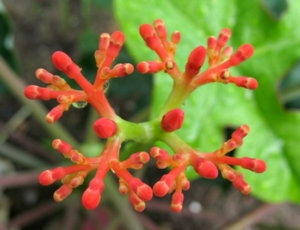 Picture 2011-06 (70)_small.jpg