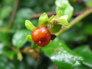 Picture 2011-06 (49)_small2.jpg