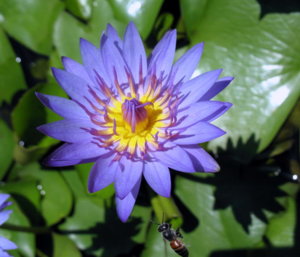 Picture 2011-06 (153)_small.jpg