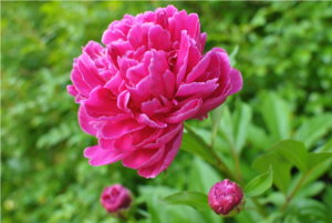 084.JPG resize.jpg