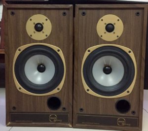 Tannoy M20 (1).jpg