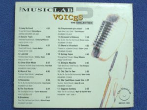 Voices II - List Cover.jpg