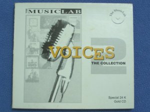 Voices II - Font Cover.jpg