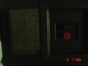 DSC05197.JPG