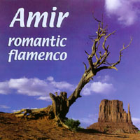 amir2.jpg