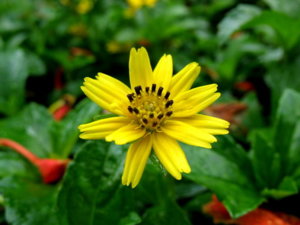Picture 2011-06 (64)_small.jpg