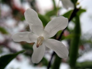 Picture 2011-06 (72)_small.jpg