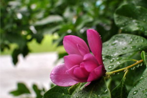 074.JPG resize.jpg