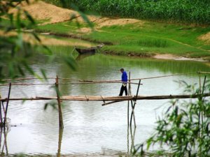 2 Bamboo monkey bridge.jpg