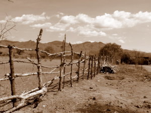 Dry field in Thuan Bac.JPG