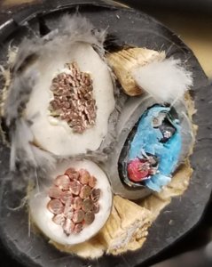 20190620_131704.jpg