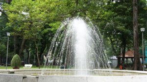 DSC00902.JPG