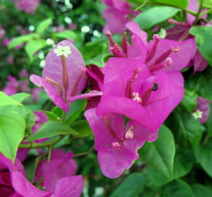 Picture 2011-06 (106)_small2.jpg