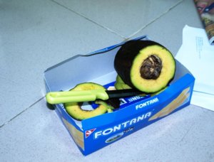 vna1.JPG