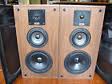 Celestion DT250.jpg