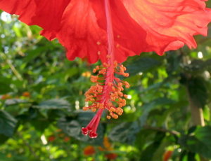 Picture 2011-06 (81)_small2.jpg
