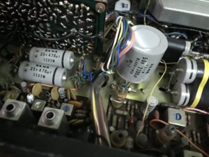 8831F3DA-E74E-4632-A4C0-04E48DCD79D3.jpeg