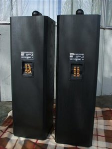 1173499987.jpg