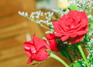 IMG_9933.1.jpg