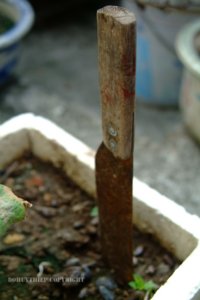 DSCF3038.jpg