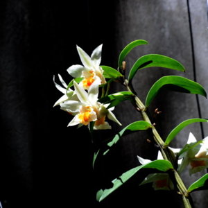 DDN_5668.jpg