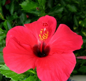 Picture 2011-06 (84)_small2.jpg