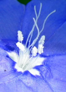 00A_6008.jpg