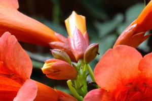 00A_6037.jpg