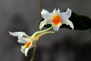 DDN_5669.jpg