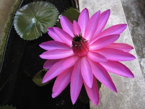 New_China_072011_ 010.jpg