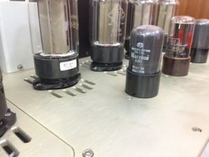 IMG_3387.JPG