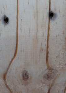 Thông pallet 2.jpg