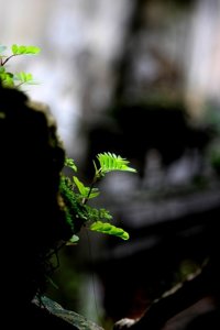IMG_9889.JPG