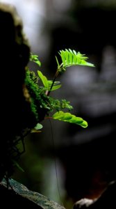 IMG_9889-1.JPG