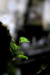 IMG_9889_cr.jpg