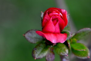 00A_7089.jpg